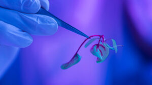 Understanding TB-500: Applications in Regenerative Medicine
